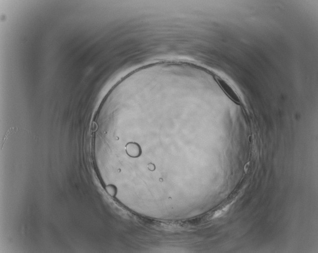 X0000083620911200703121625