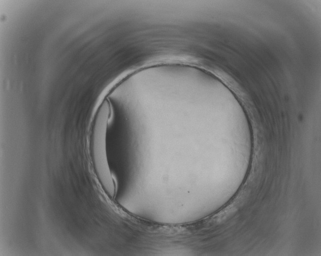 X0000083620912200703121625