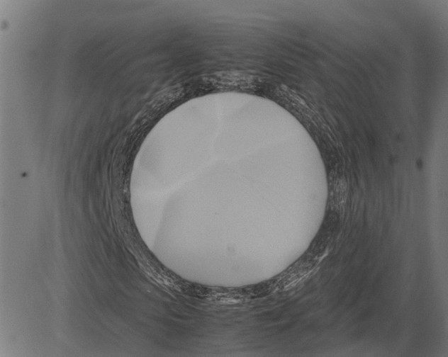 X0000083620913200703121624