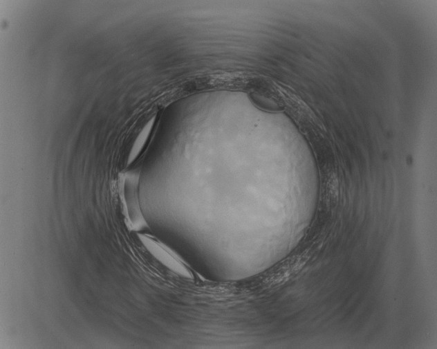 X0000083620914200703121624