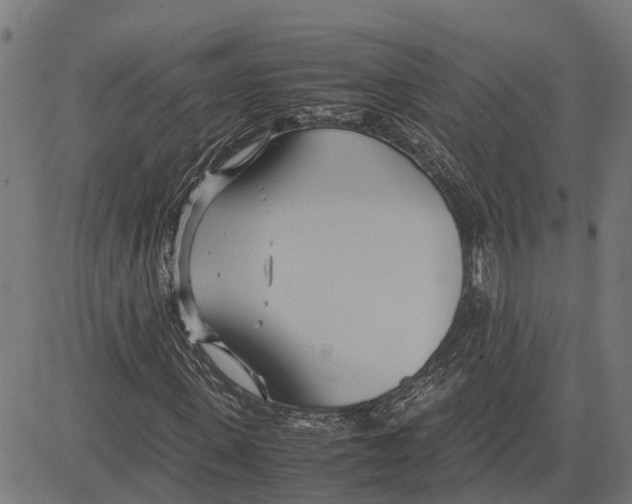 X0000083620915200703121624