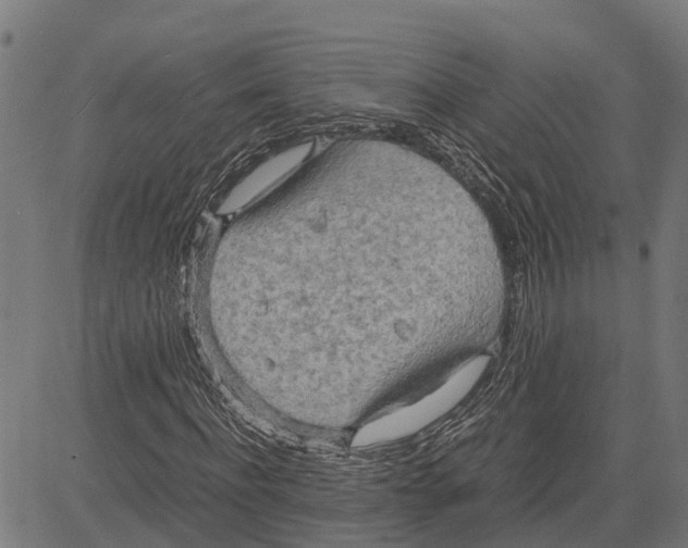 X0000083620916200703121624