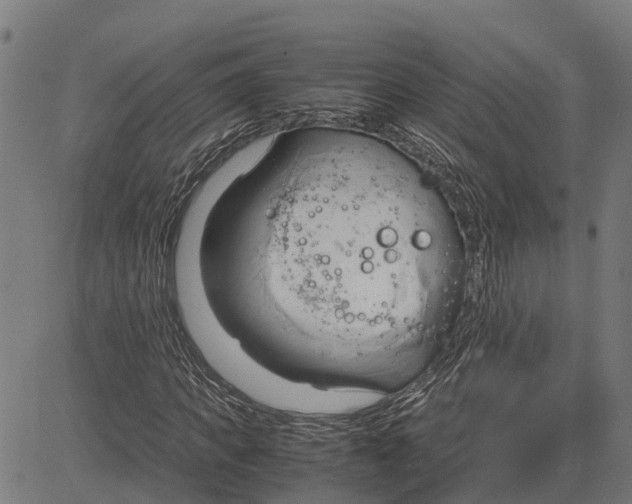 X0000083620917200703121624