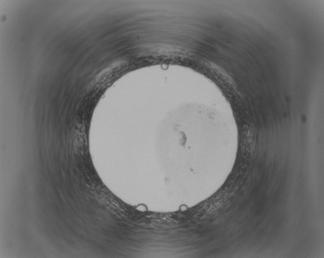 X0000083620918200703121624