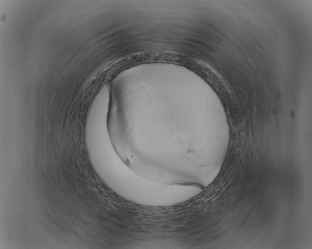 X0000083620919200703121624