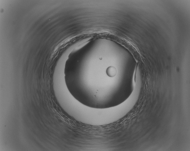 X0000083620920200703121624