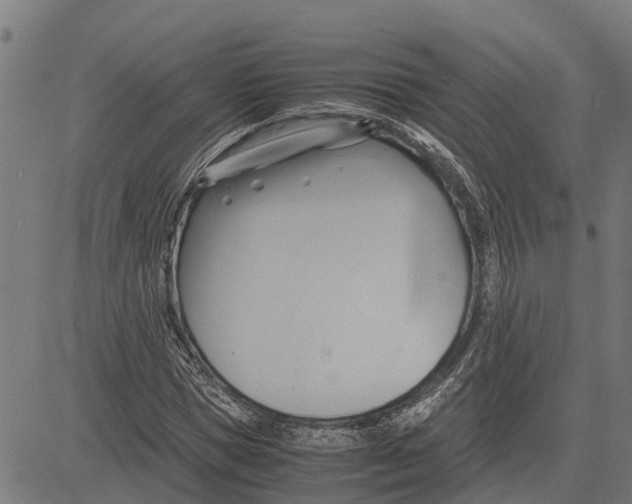 X0000083620921200703121624