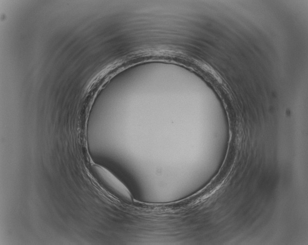 X0000083620922200703121624