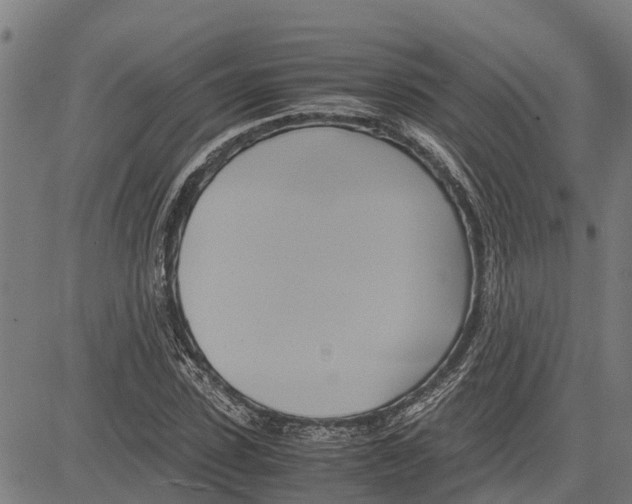 X0000083620923200703121624