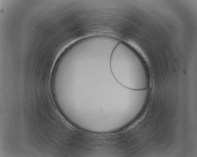 X0000083620924200703121624