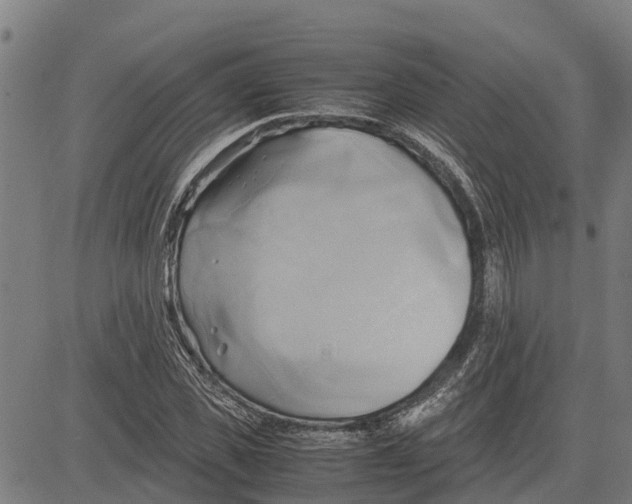 X0000083620925200703121624