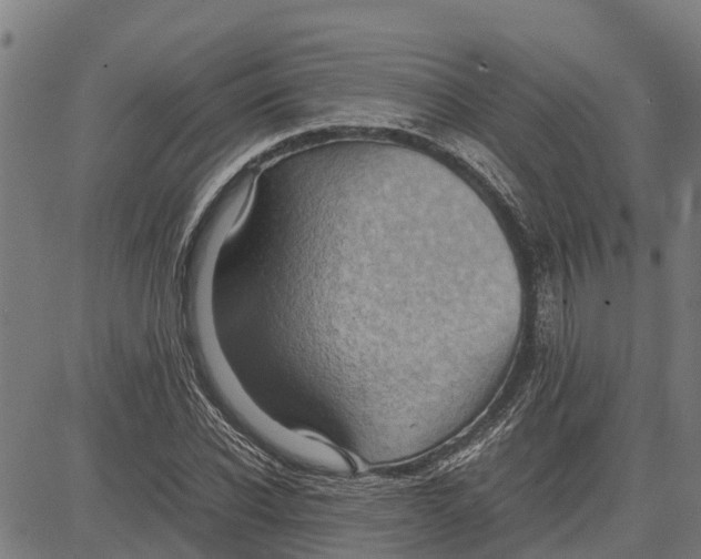 X0000083620926200703121624