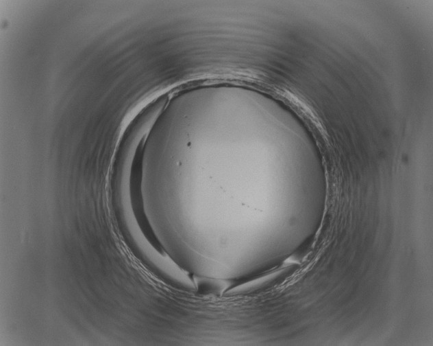 X0000083620928200703121624