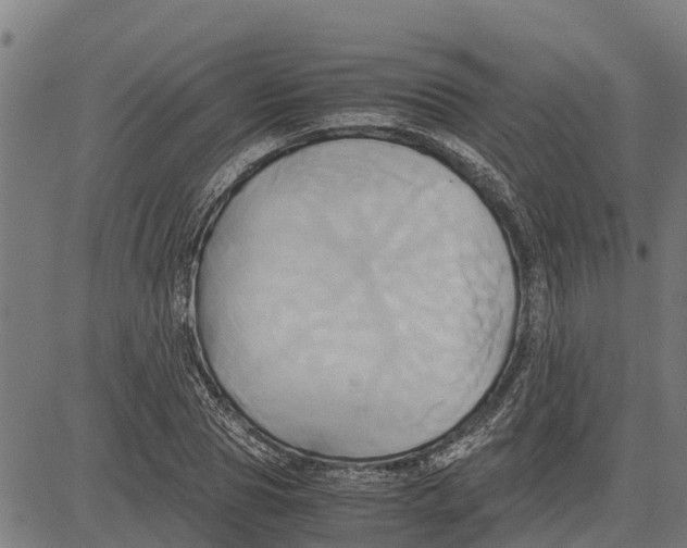 X0000083620929200703121624