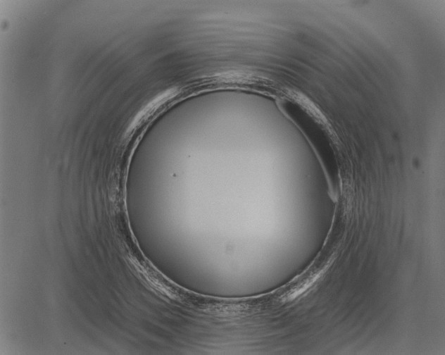 X0000083620930200703121624