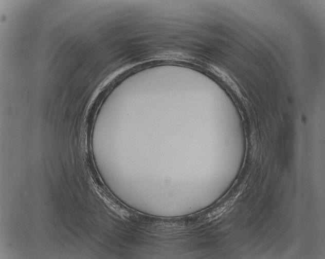 X0000083620931200703121624