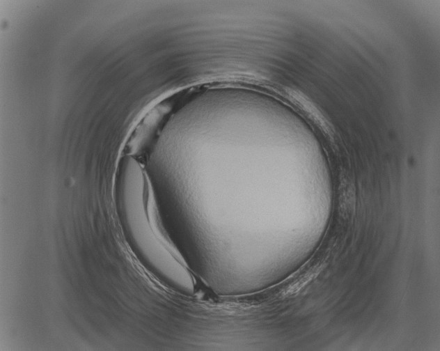 X0000083620932200703121624