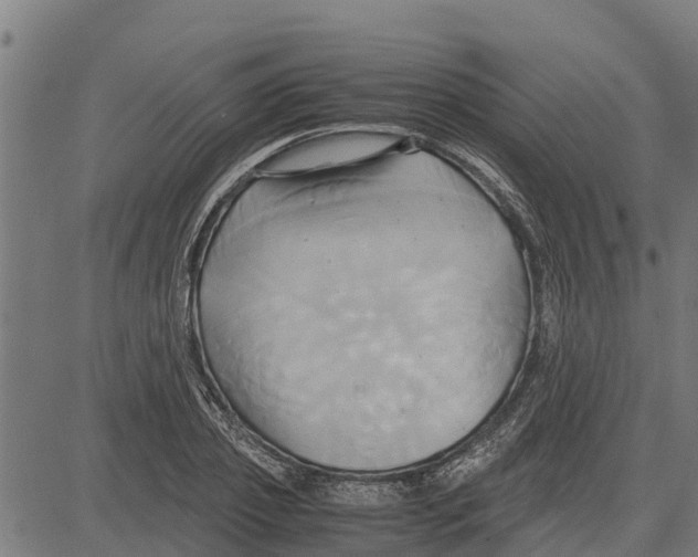 X0000083620933200703121624