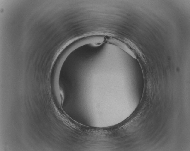 X0000083620934200703121624