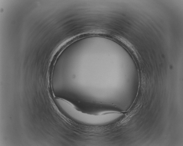 X0000083620935200703121625