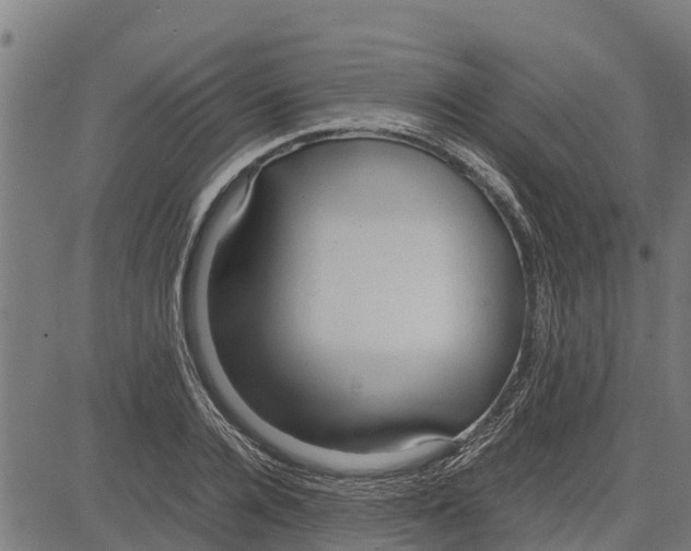 X0000083620936200703121625