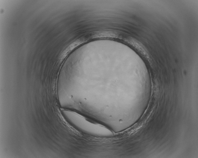 X0000083620937200703121625