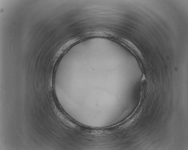 X0000083620938200703121625