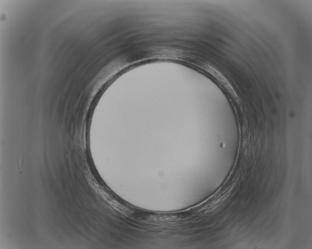 X0000083620939200703121625