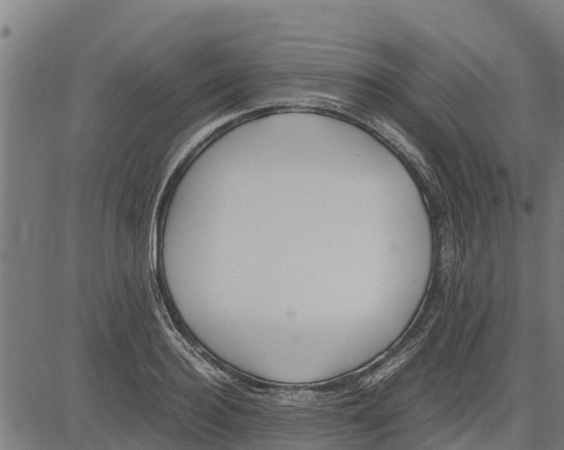 X0000083620940200703121625