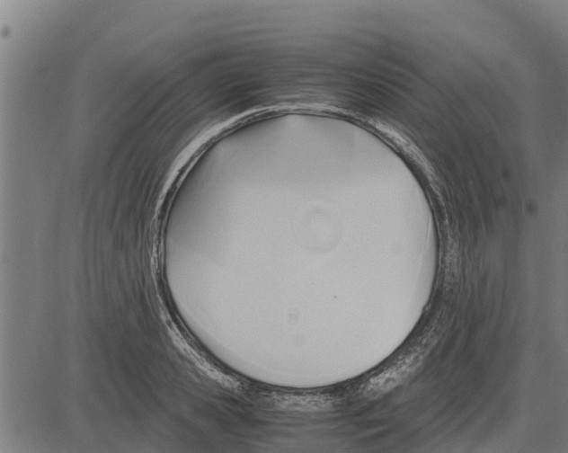 X0000083620941200703121625