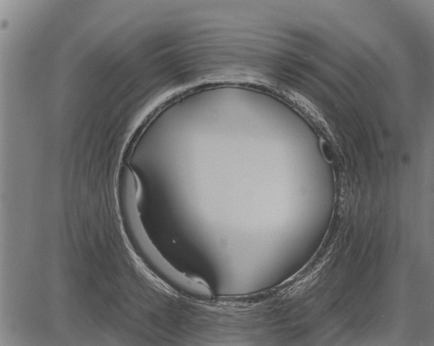 X0000083620942200703121625