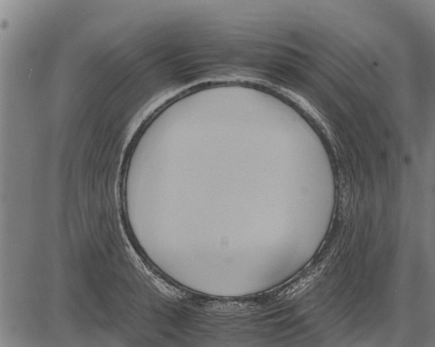 X0000083620943200703121625