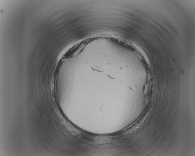 X0000083620944200703121625