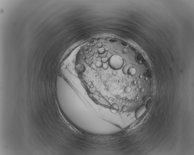 X0000083620945200703121625