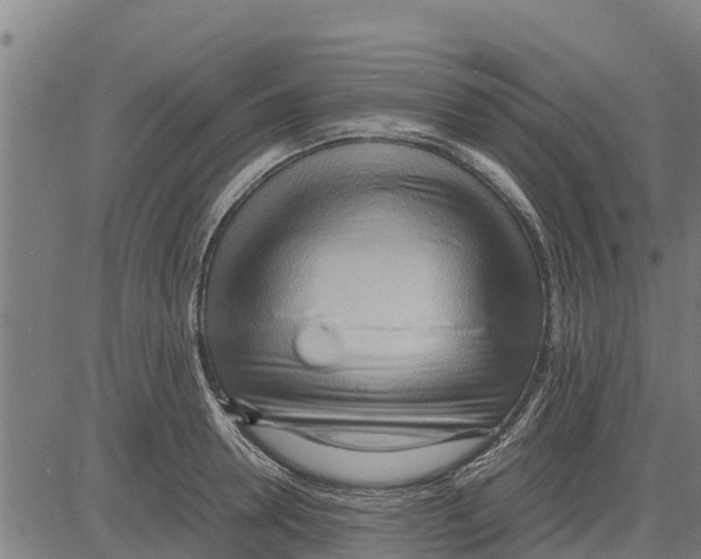 X0000083620946200703121625