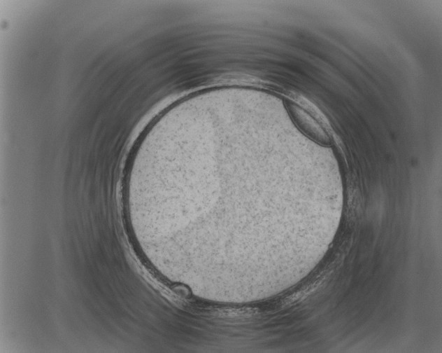 X0000083620947200703121625