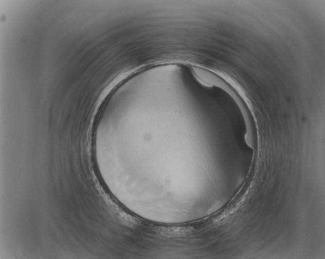 X0000083620949200703121625