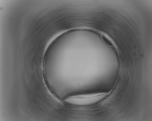 X0000083620951200703121625