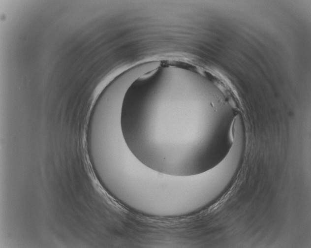 X0000083620952200703121625