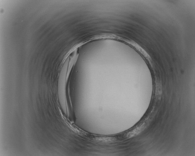 X0000083620953200703121625