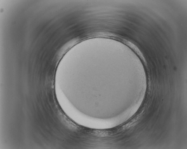 X0000083620954200703121625