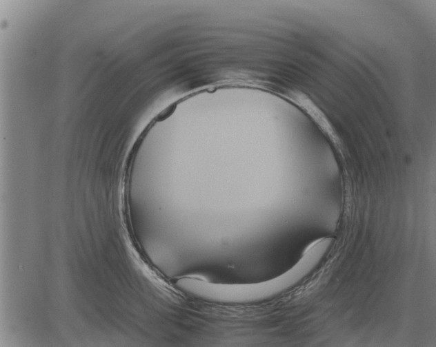 X0000083620955200703121625