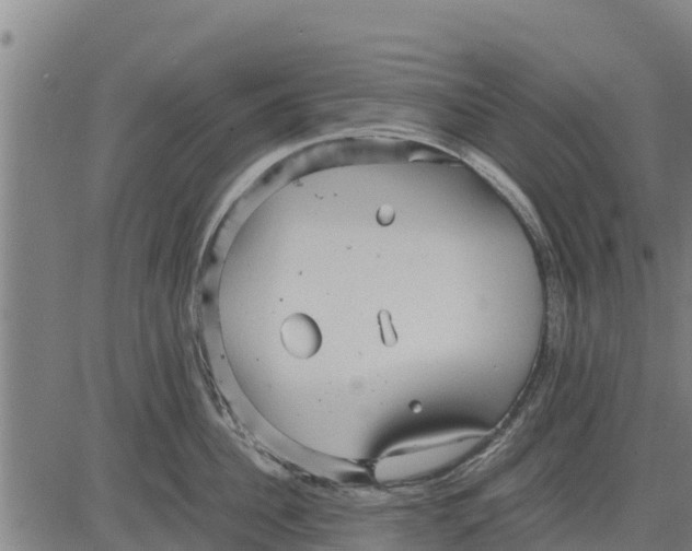 X0000083620956200703121625