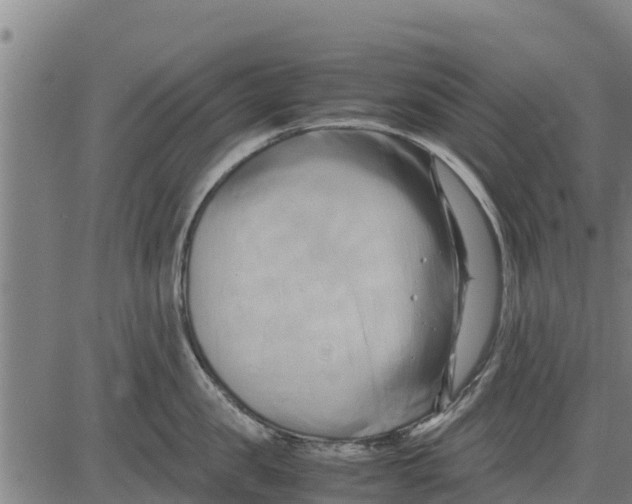 X0000083620957200703121625