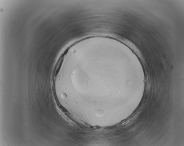 X0000083620958200703121625