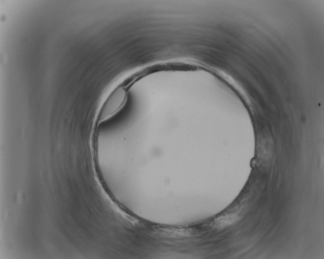 X0000083620959200703121625