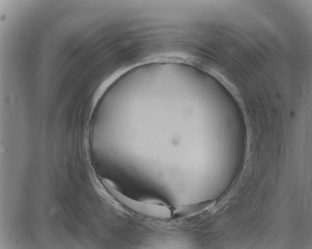 X0000083620960200703121625