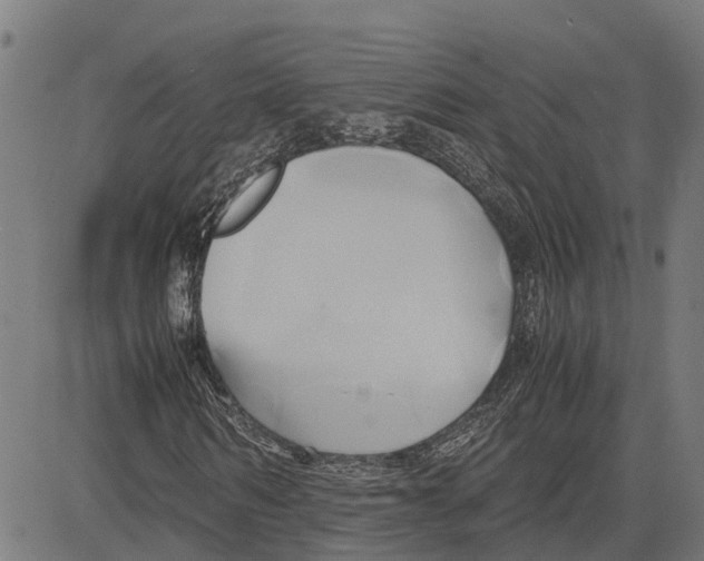 X0000083620962200703121624