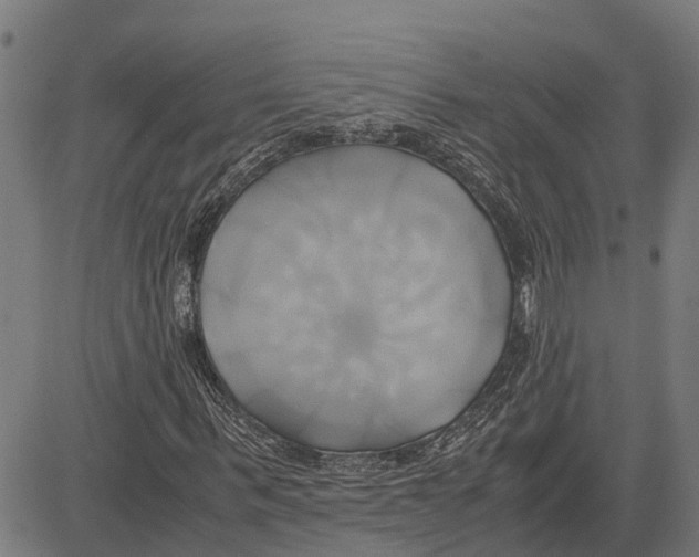 X0000083620963200703121624