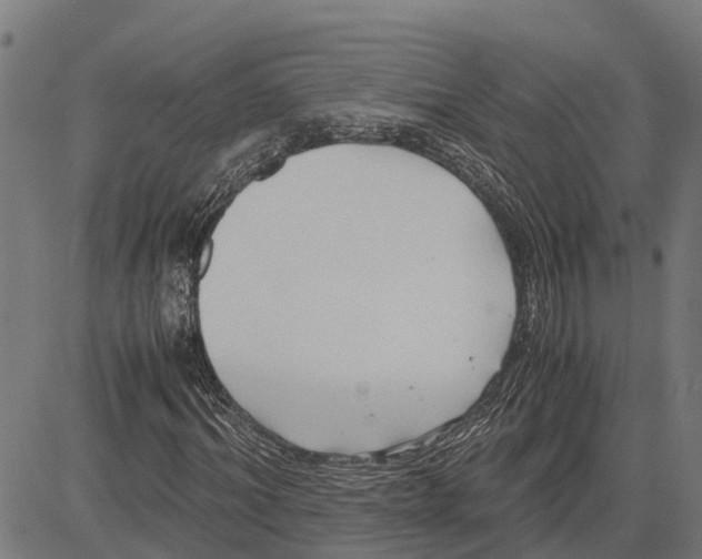 X0000083620964200703121624